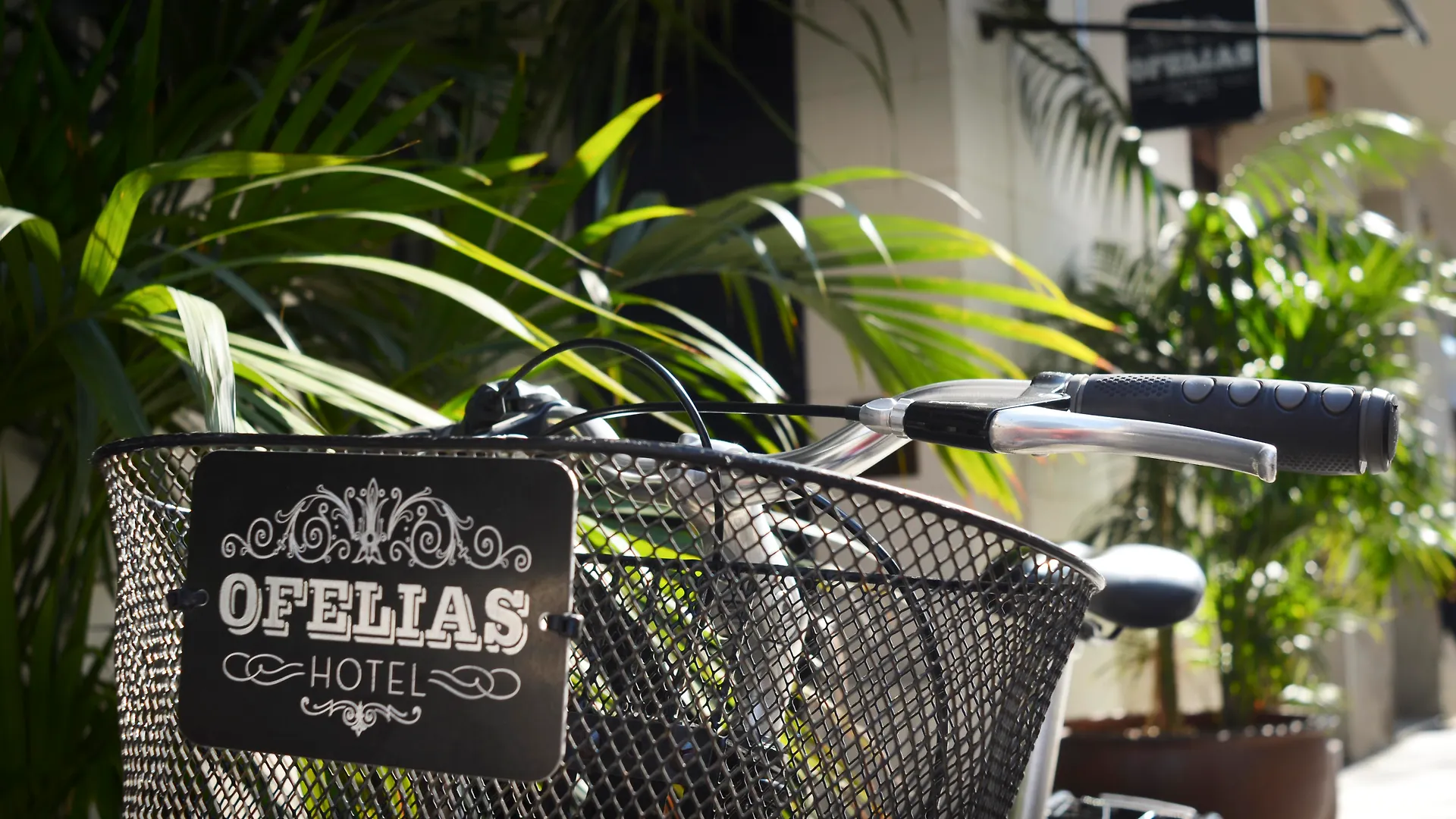 Ofelias Hotel 4Sup By Bondia Hotel Group Barcelona